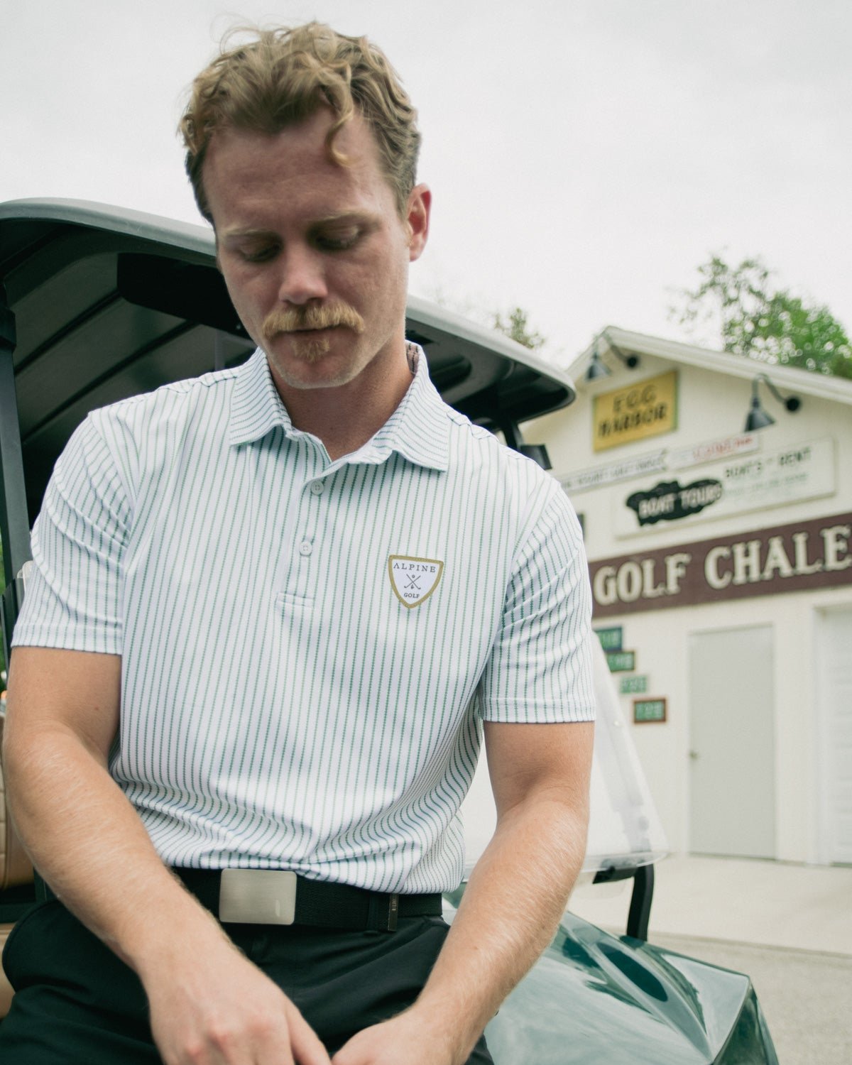 Alpine Performance Down-Striped Polo