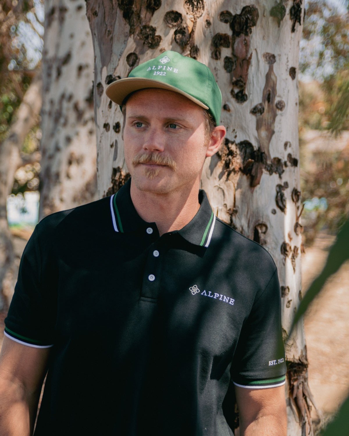 Alpine Legacy Snapback