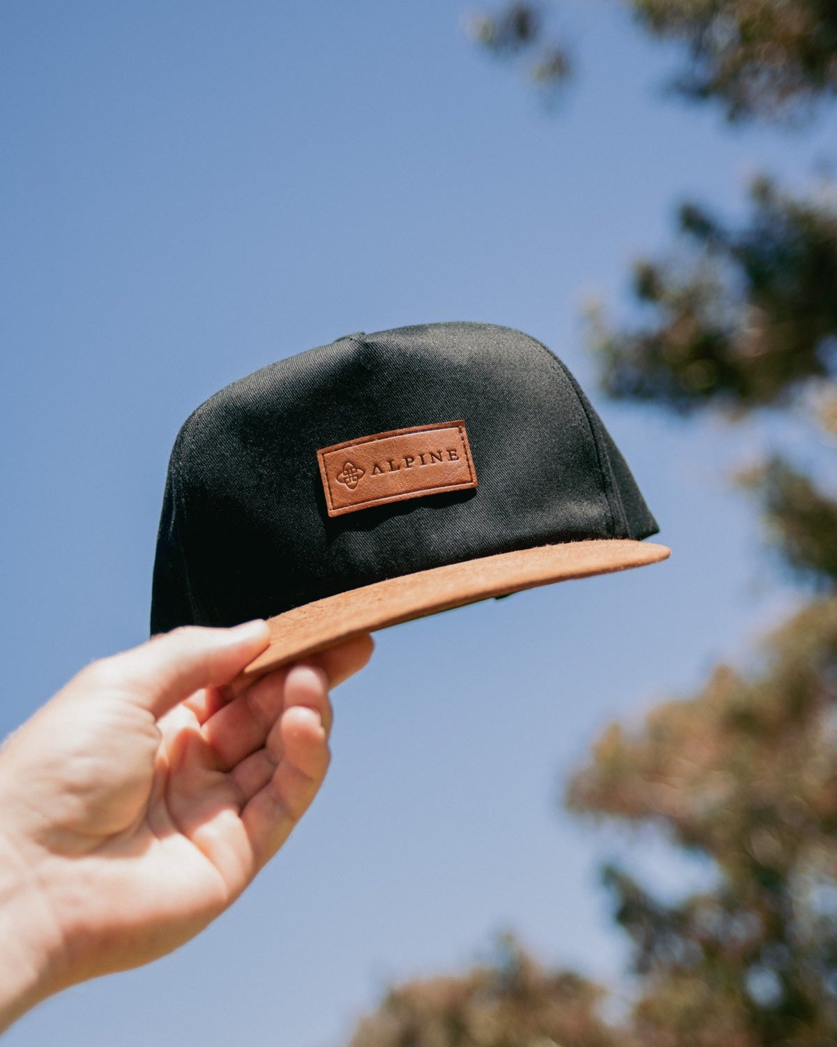 Alpine Legacy Snapback