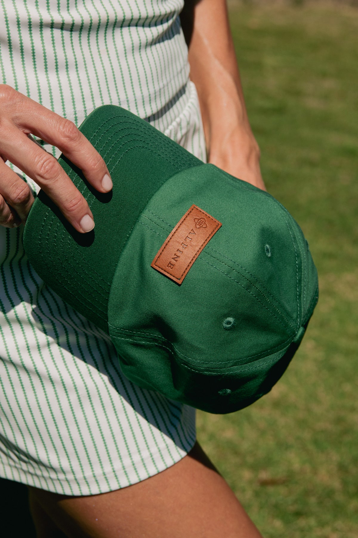 Alpine Dad Cap