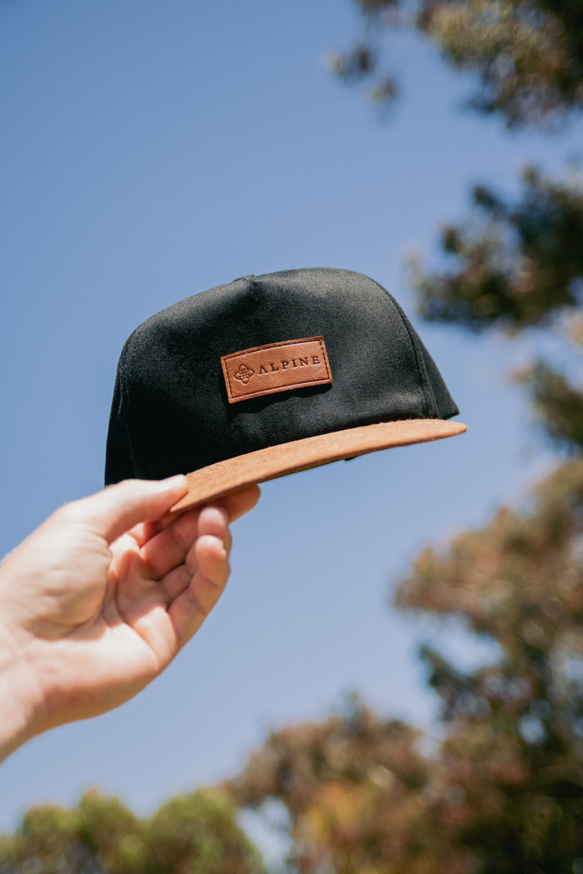 Alpine Legacy Snapback